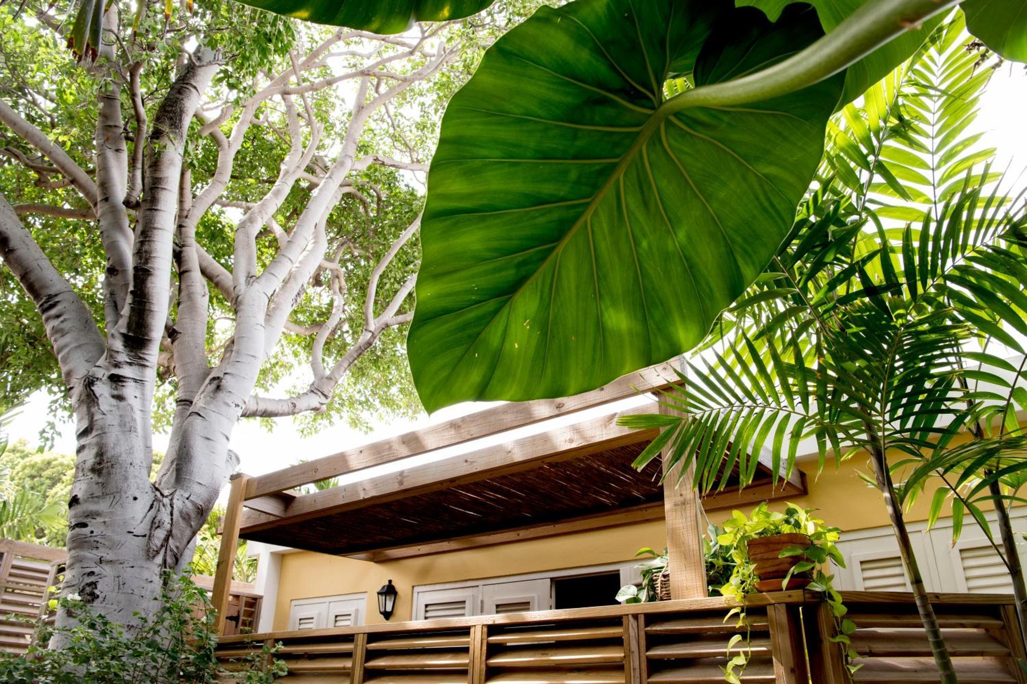 Curacao Gardens Apartment Willemstad Room photo